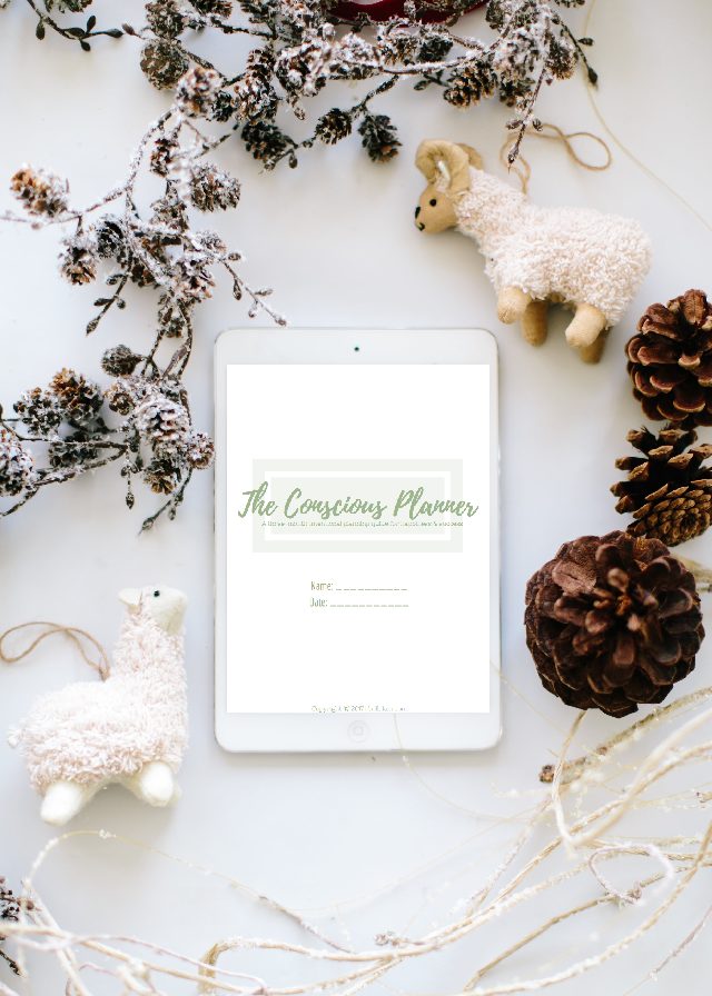 The Conscious Planner 2.0