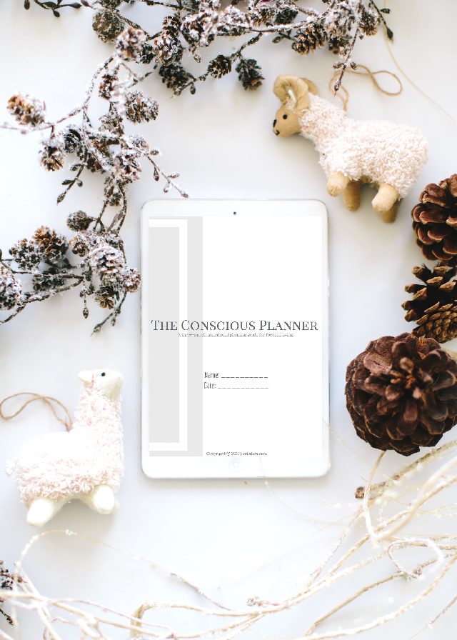 The Conscious Planner 2.0 - Image 3